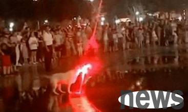 A dog drinks water and attracts people to watch. This is so incredible!